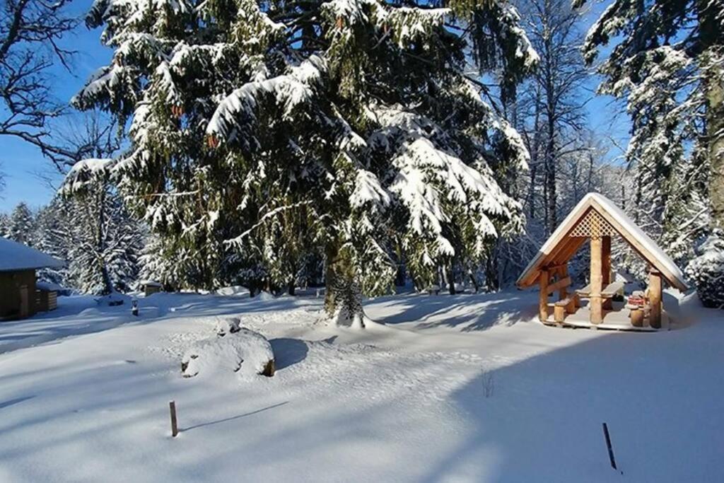 Le Petit Loup, Appartement Neuf Avec Jardin Gerbépal Kültér fotó